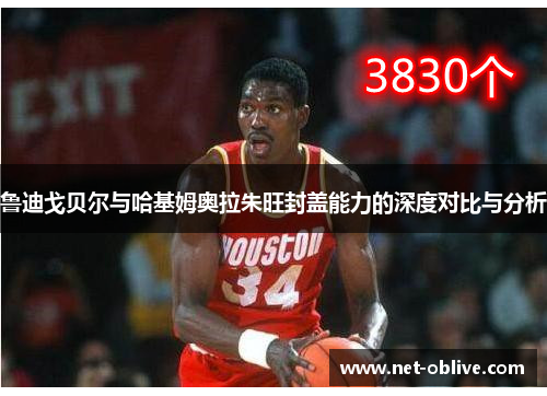 鲁迪戈贝尔与哈基姆奥拉朱旺封盖能力的深度对比与分析