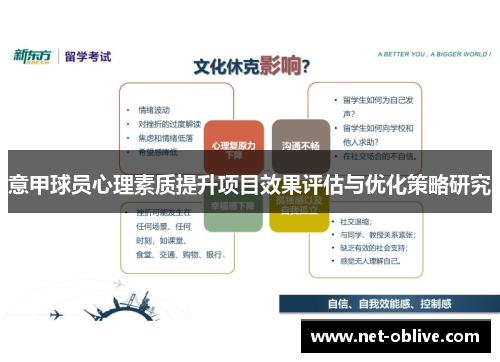 意甲球员心理素质提升项目效果评估与优化策略研究