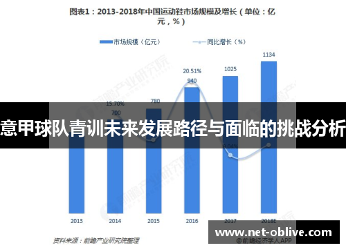 意甲球队青训未来发展路径与面临的挑战分析