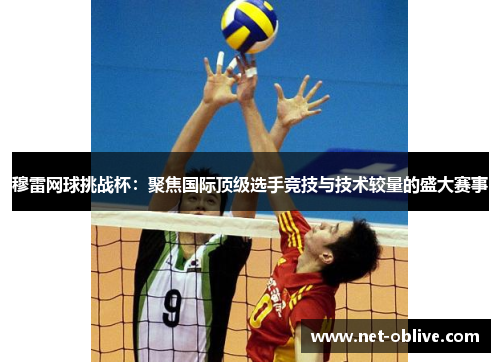 穆雷网球挑战杯：聚焦国际顶级选手竞技与技术较量的盛大赛事