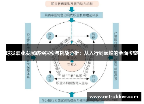 球员职业发展路径探索与挑战分析：从入行到巅峰的全面考察