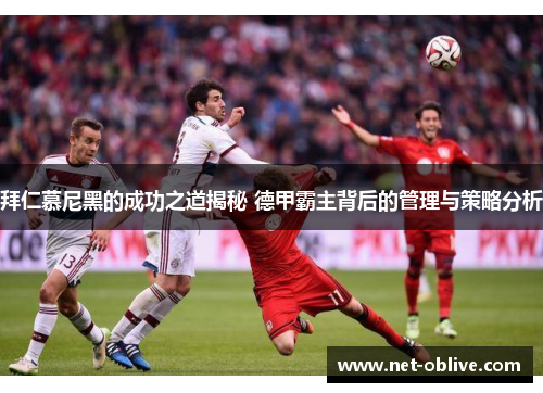 拜仁慕尼黑的成功之道揭秘 德甲霸主背后的管理与策略分析