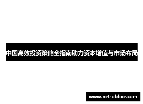 中国高效投资策略全指南助力资本增值与市场布局