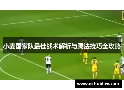 小麦国家队最佳战术解析与踢法技巧全攻略