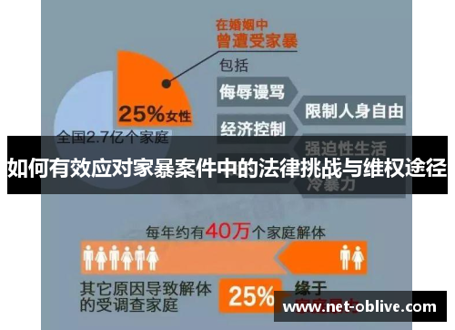 如何有效应对家暴案件中的法律挑战与维权途径