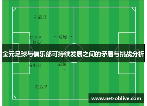 金元足球与俱乐部可持续发展之间的矛盾与挑战分析