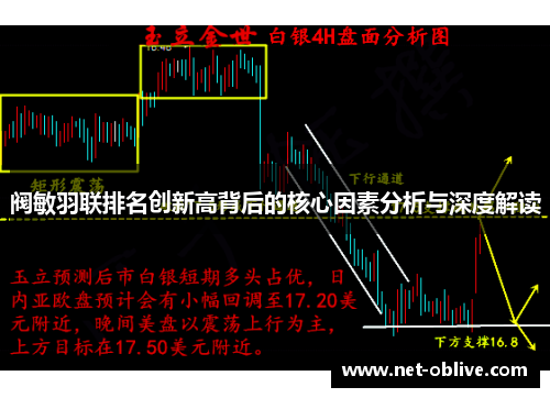 阀敏羽联排名创新高背后的核心因素分析与深度解读