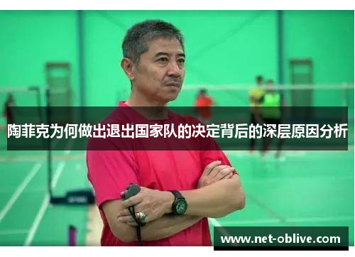 陶菲克为何做出退出国家队的决定背后的深层原因分析