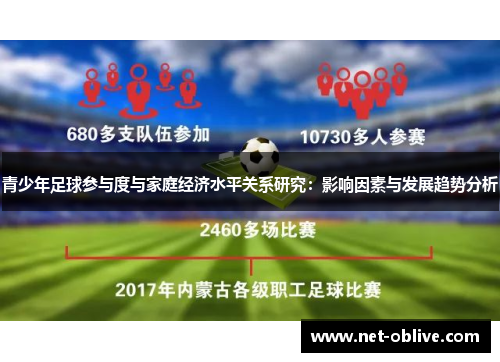 青少年足球参与度与家庭经济水平关系研究：影响因素与发展趋势分析